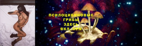 кокаин колумбия Богданович
