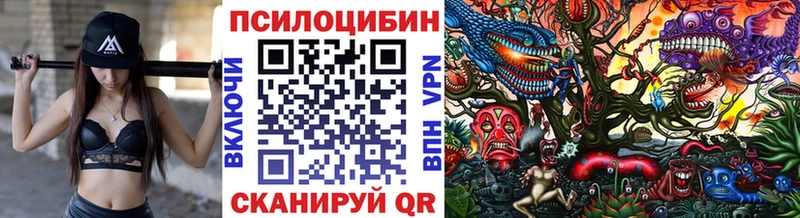 Псилоцибиновые грибы GOLDEN TEACHER Луховицы